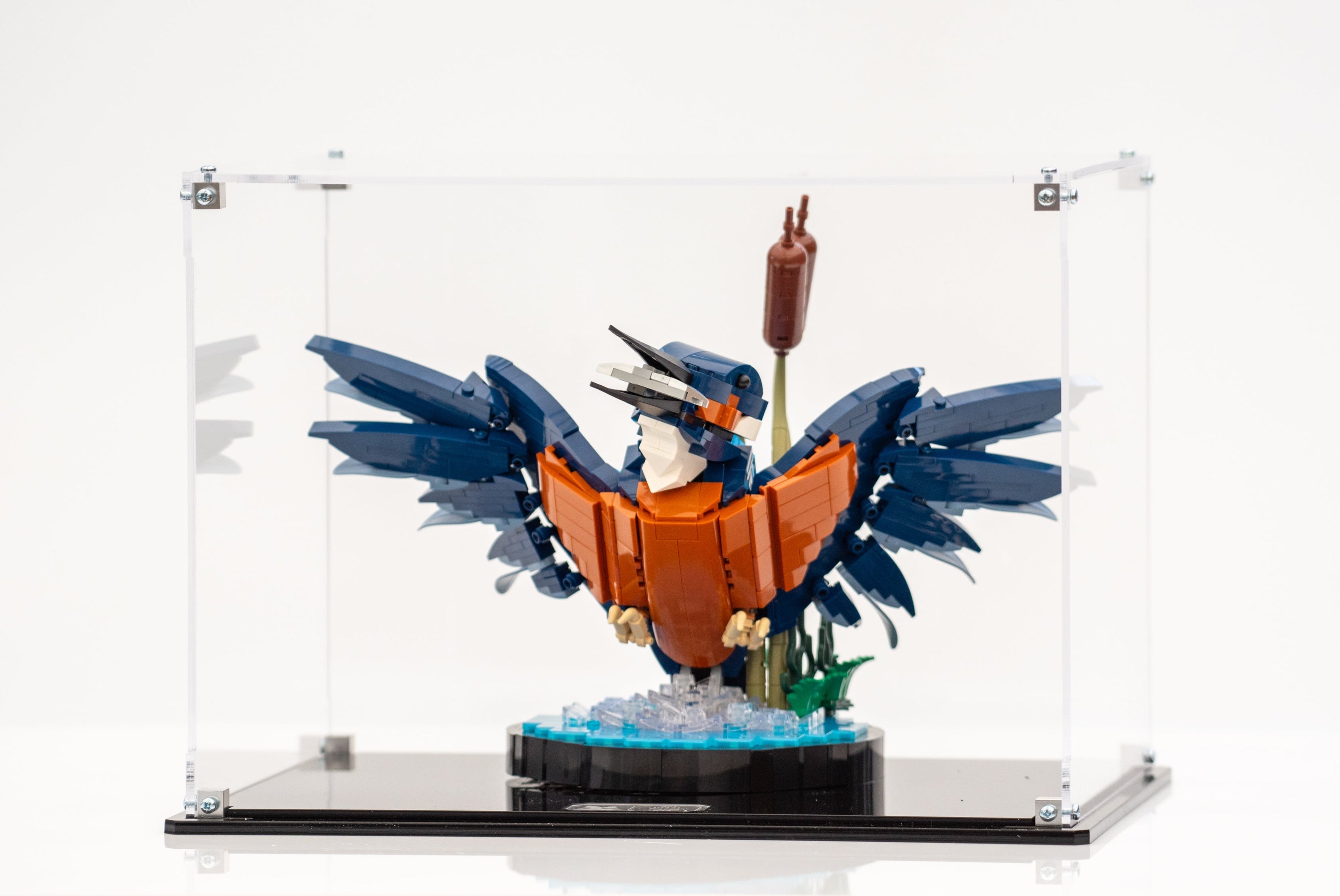 Display Case for LEGO® Icons Kingfisher (10331)
