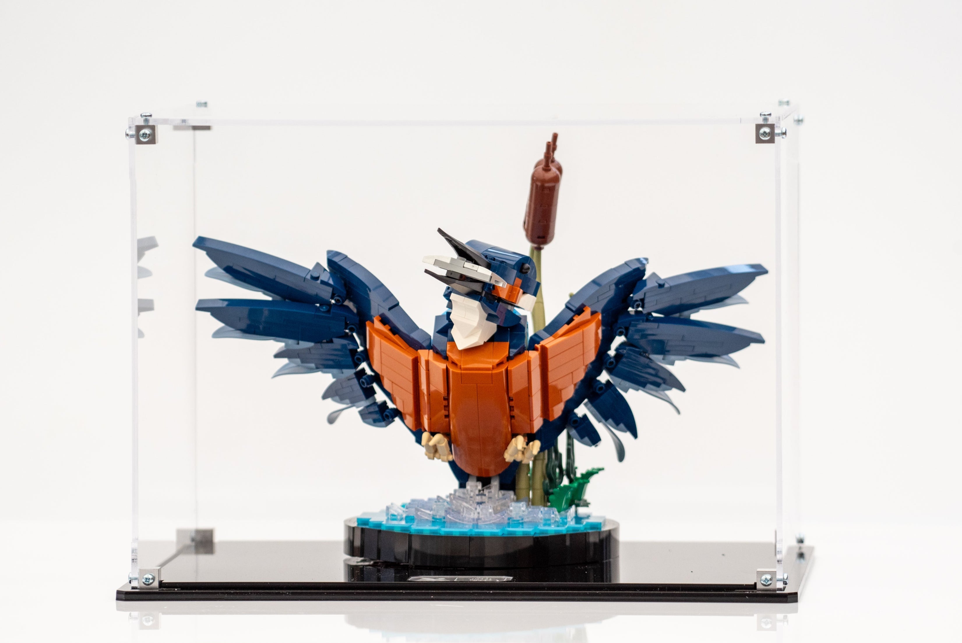 Display Case for LEGO® Icons Kingfisher (10331)