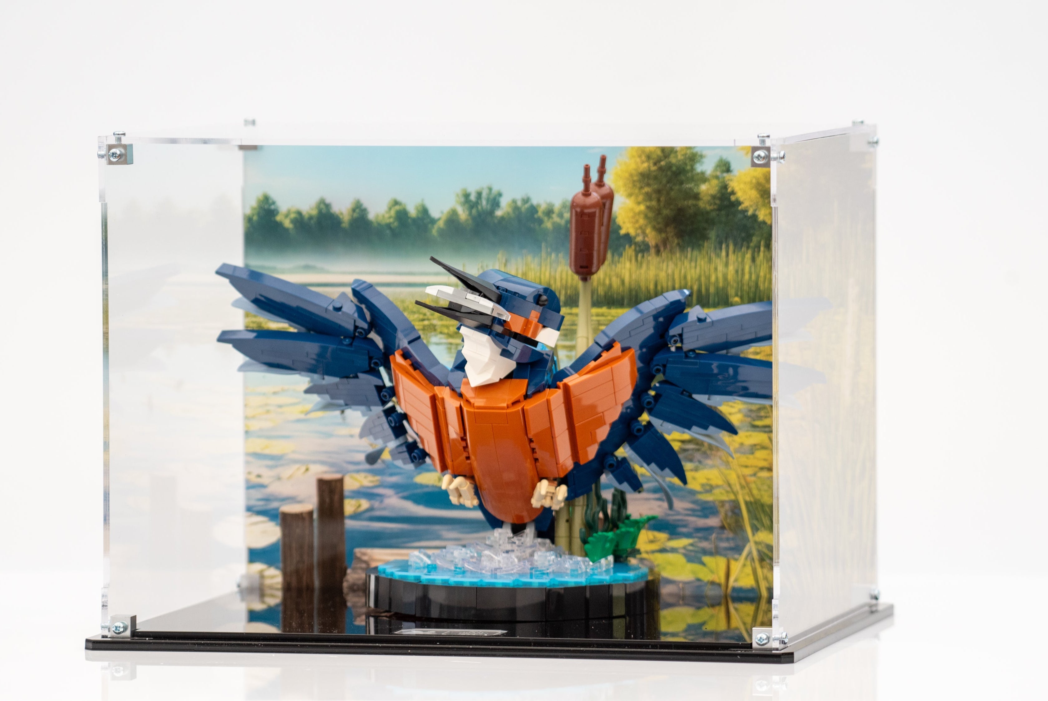 Display Case for LEGO® Icons Kingfisher (10331)