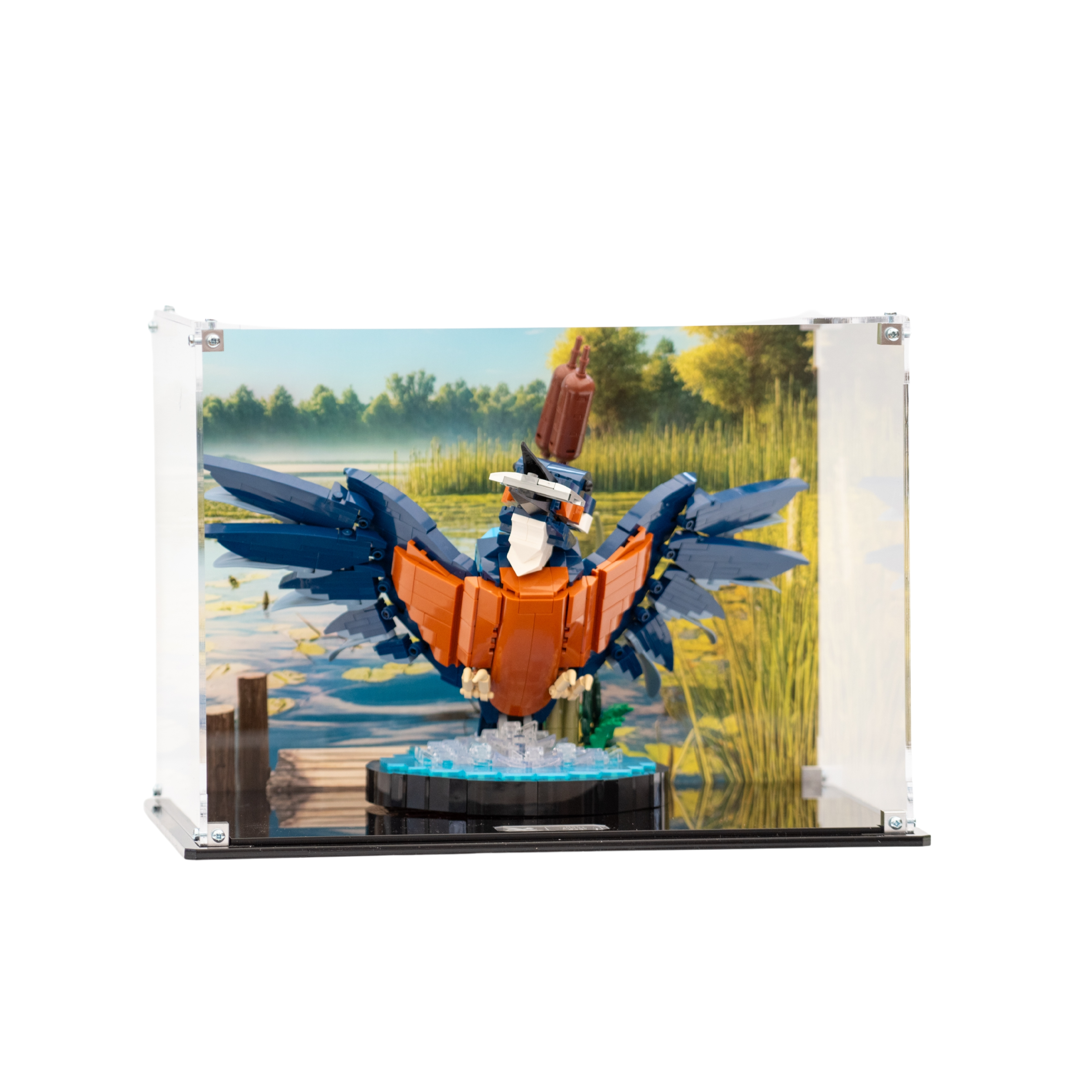 Display Case for LEGO® Icons Kingfisher (10331)
