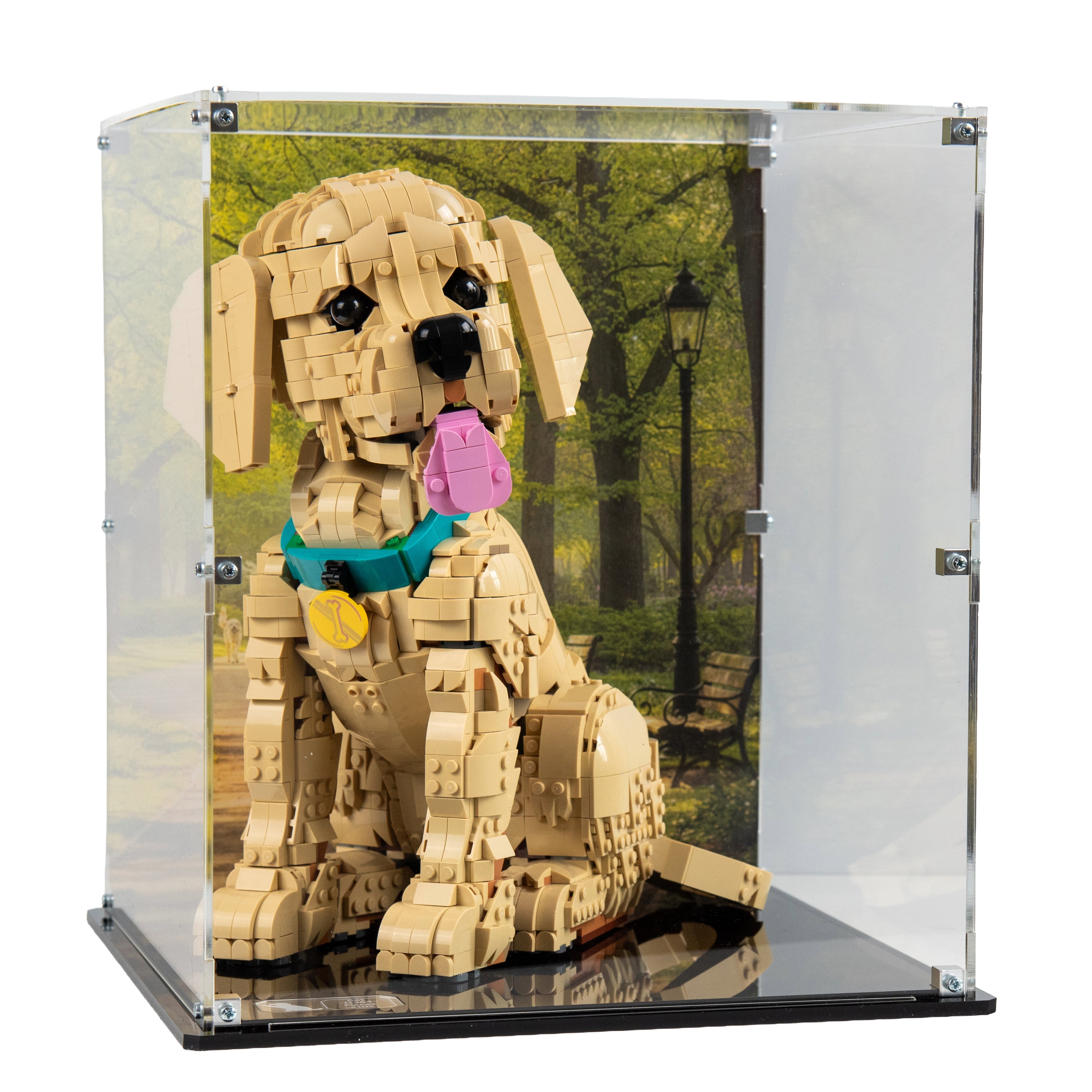 Display Case For LEGO® Icons Golden Retriever Puppy Model 11384