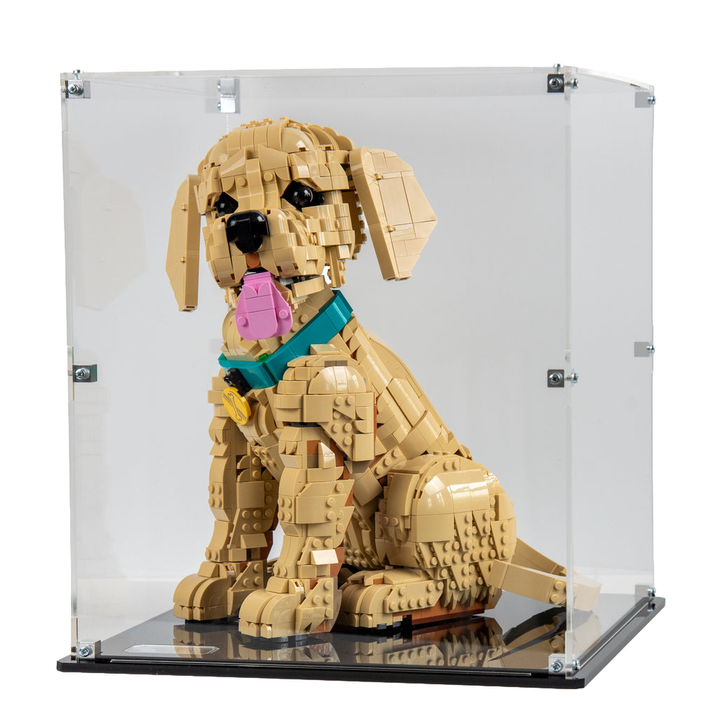 Display Case For LEGO® Icons Golden Retriever Puppy Model 11384