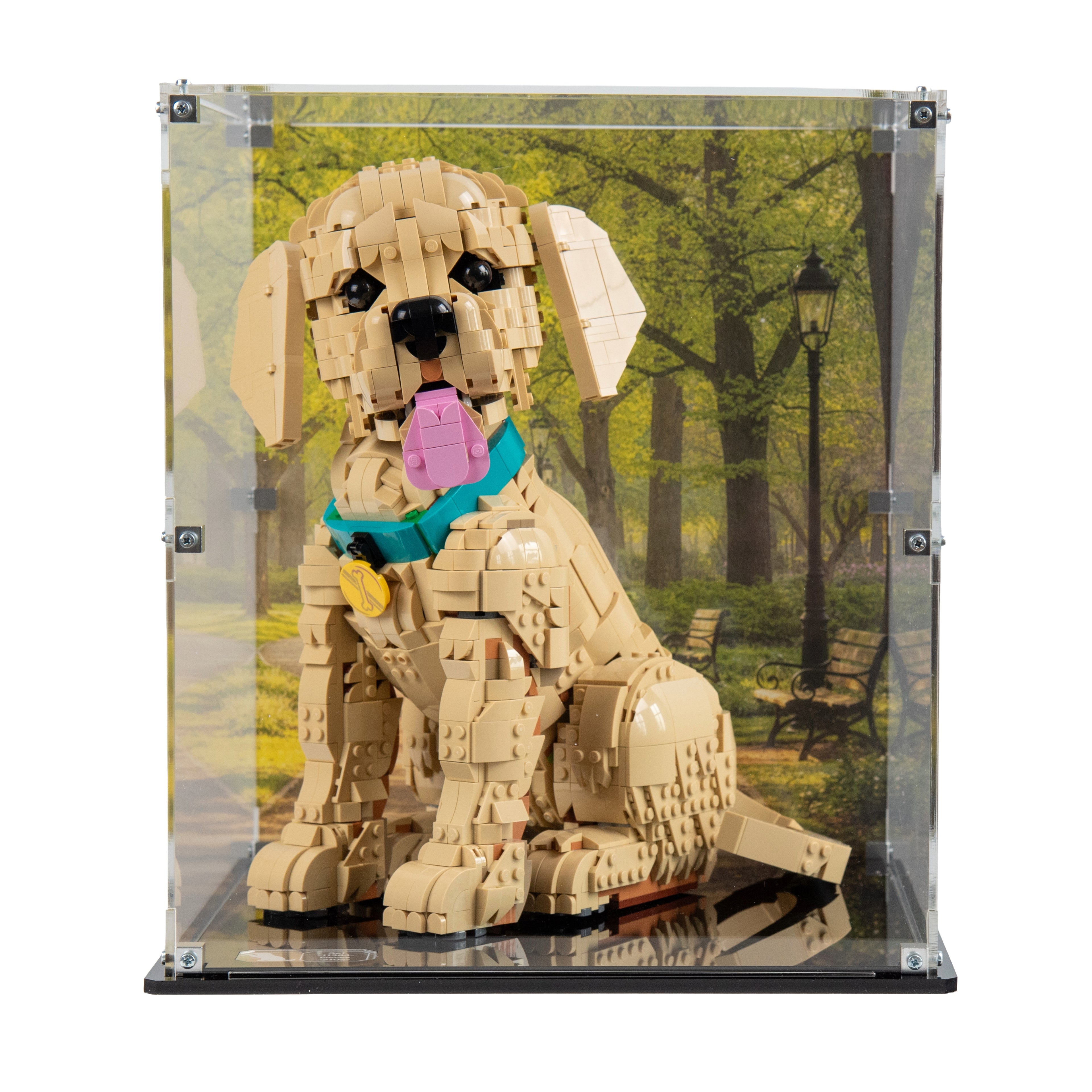 Display Case For LEGO® Icons Golden Retriever Puppy Model 11384