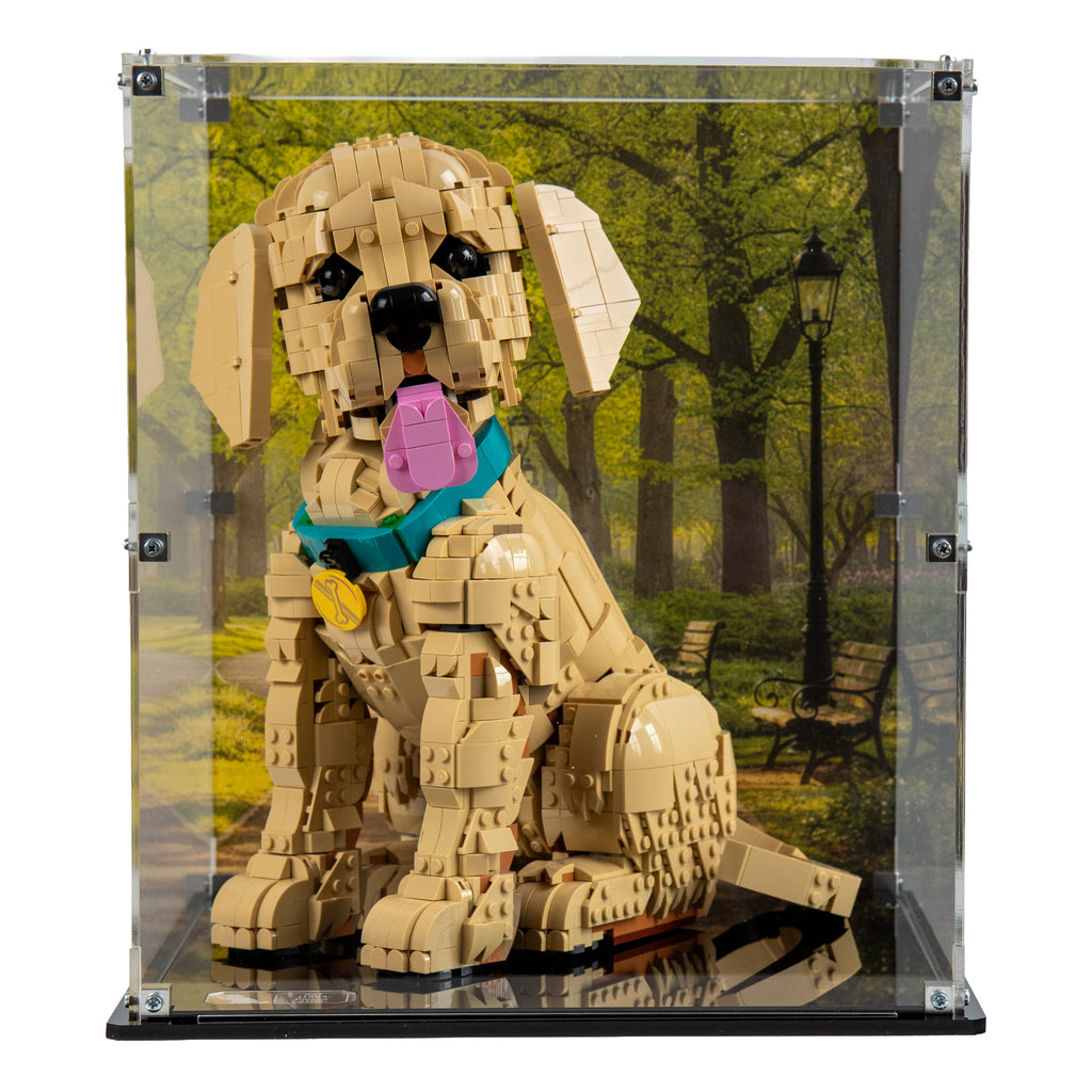 Display Case For LEGO® Icons Golden Retriever Puppy Model 11384